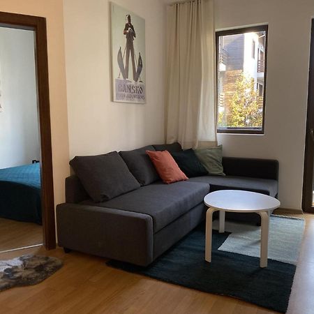 2 Bedroom Apartment Next To Gondola Ski Lift Bansko Ngoại thất bức ảnh